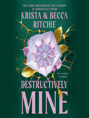 cover image of Destructively Mine